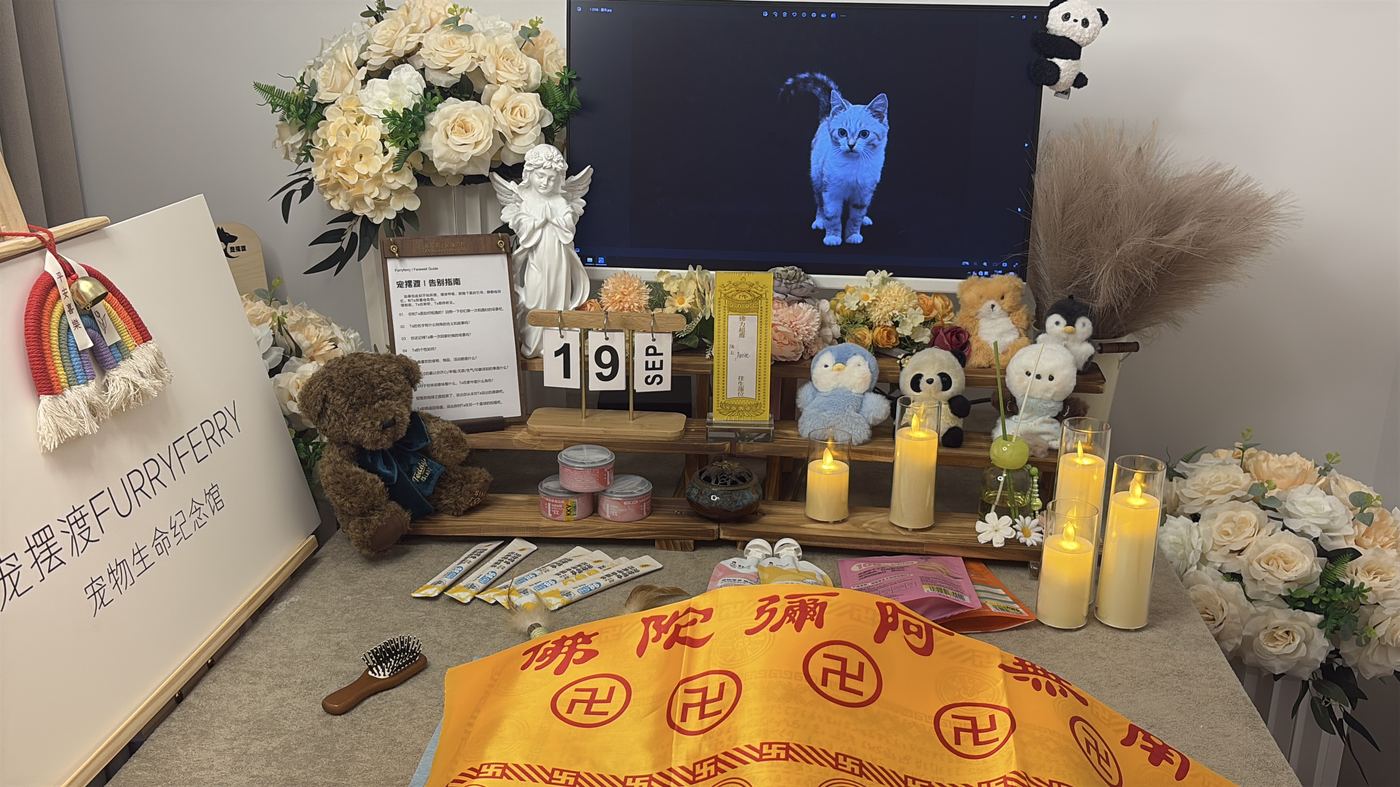 还能为它做的几件事
